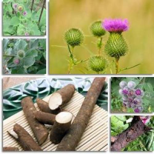 Как снизить уровень сахара в крови в домашних условиях быстро. Лечение травами