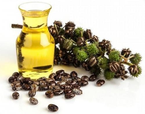 Касторовое масло для роста волос. Как использовать касторовое масло для волос от выпадения