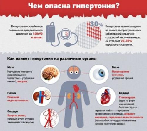 Почему постоянно хочется есть и спать. Дневная сонливость – предупреждение о серьезных болезнях