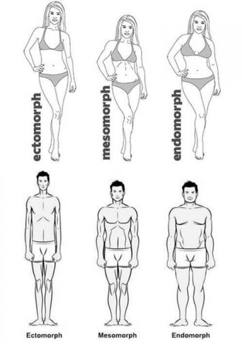 Баланс белков жиров и углеводов для похудения. Как рассчитать баланс БЖУ. 02