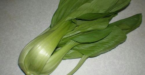 Можно ли есть Макароны с рыбой. Доширакология. Макароны с рыбой