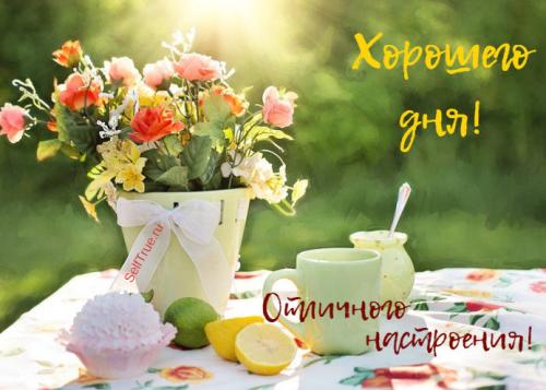 Продукты сжигающие жир во сне. Как сжечь жир: 9 продуктов, которые сжигают жир во время сна