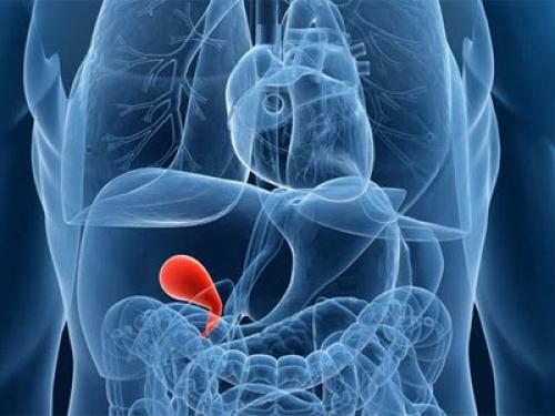 Что выходит после тюбажа. Тюбаж желчного пузыря в домашних условиях