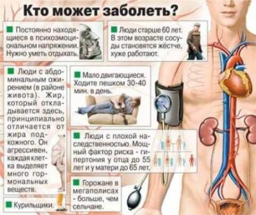Почему постоянно хочется есть и спать. Дневная сонливость – предупреждение о серьезных болезнях