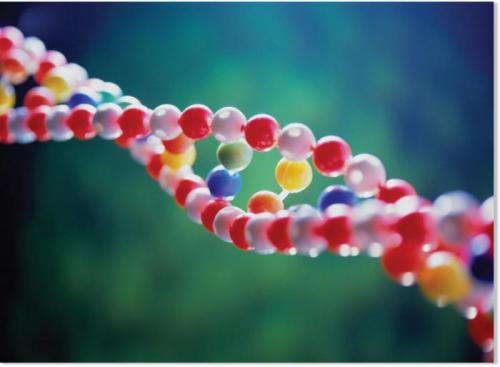 Почему не уходит жир с живота при тренировках. Почему жир на животе не уходит после тренировок? 15 Почему не уходит жир с живота при тренировках. Почему жир на животе не уходит после тренировок? 15