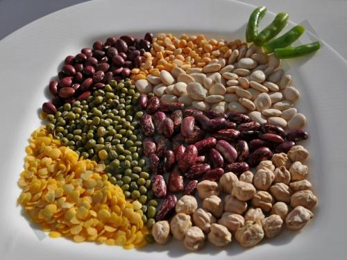 Продукты богатые белком. Самые белковые продукты: в каких продуктах очень много белка?