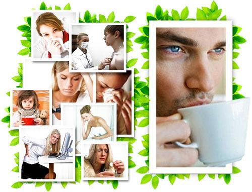 Монастырский чай состав в домашних условиях для похудения. Состав 04