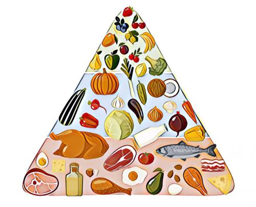 Кето диета. По науке. Кето диета - что говорят исследования? Подробное руководство.