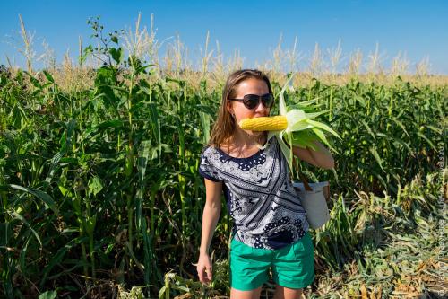 С чем есть кукурузу. 5 простых советов. Как выбирать кукурузу
