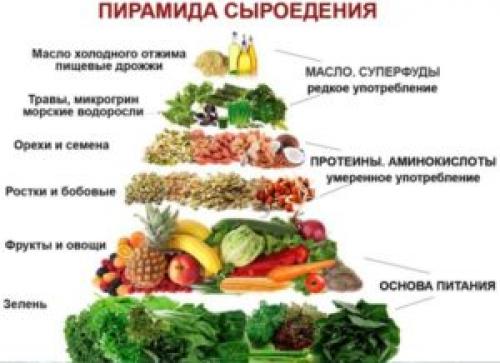 Блюда сыроедов рецепты. Сборник вторых блюд для сыроедов 03 Блюда сыроедов рецепты. Сборник вторых блюд для сыроедов 03