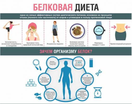 Для чего нужна белковая диета. Что такое белковая диета