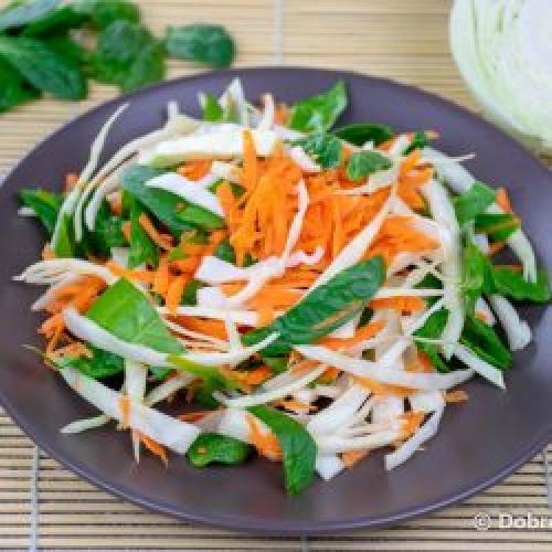 Салат метла, как правильно есть. Салат «Метёлка» по Арнольду Эрету