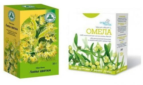 Омела и липа для похудения. Как похудеть с помощью двух трав. Омела и липа в борьбе с лишними килограммами!