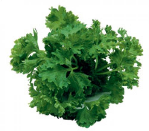 Диета апельсиново яичная. Суть 03 Диета апельсиново яичная. Суть 03