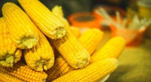 С чем есть кукурузу. 5 простых советов. Как выбирать кукурузу