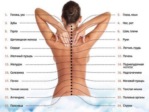 Массаж медом от целлюлита в домашних условиях. Техника выполнения 05 Массаж медом от целлюлита в домашних условиях. Техника выполнения 05