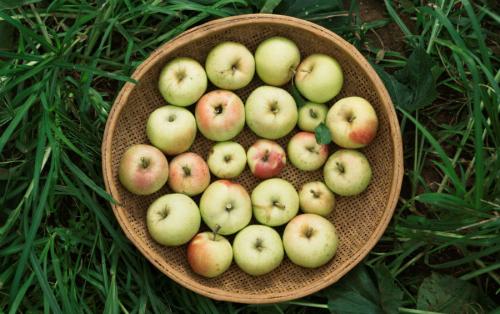 Что делать если постоянно кушать хочется. Заболевания 09 Что делать если постоянно кушать хочется. Заболевания 09