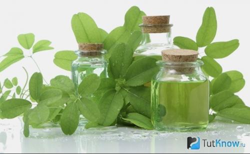 Как принимать морозник кавказский для похудения. Как принимать морозник для похудения 01 Как принимать морозник кавказский для похудения. Как принимать морозник для похудения 01