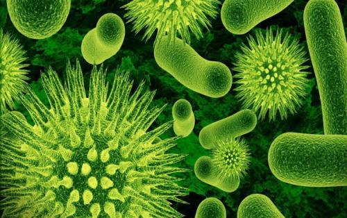 Что делать если постоянно кушать хочется. Заболевания 16 Что делать если постоянно кушать хочется. Заболевания 16