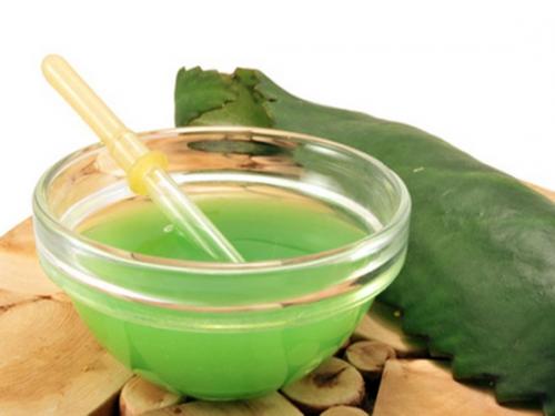 Что можно приготовить из каланхоэ. Применение