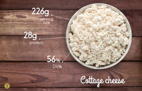 Чистый белок в продуктах список. Богатые белком яйца и молочные продукты