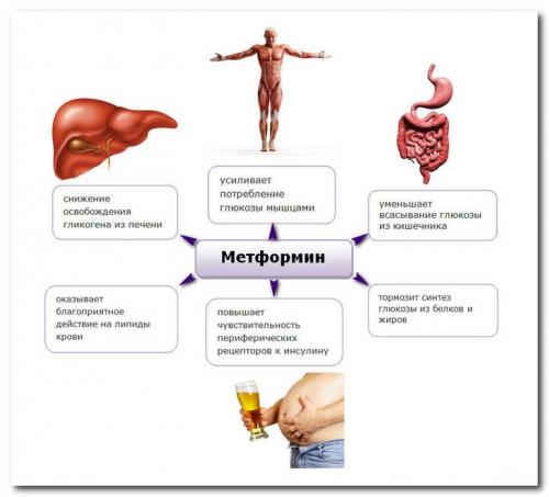Диета при приеме метформина. Возможно ли похудение с помощью препарата Метформин ^