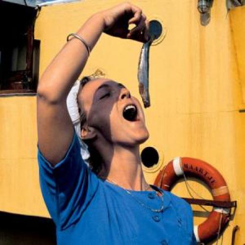 Песко вегетарианцы меню. Песко-вегетарианцы