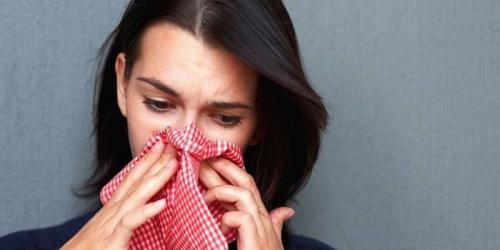 Лечение каланхоэ в домашних условиях. Применение в медицине