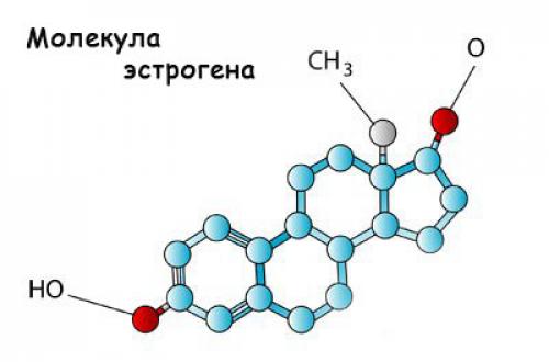 Эстроген и лишний вес. Эстроген и лишний вес