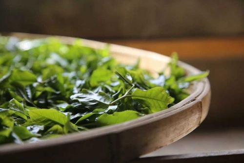 Продукты жиросжигатели для похудения список. Принцип действия продуктов жиросжигателей 04 Продукты жиросжигатели для похудения список. Принцип действия продуктов жиросжигателей 04