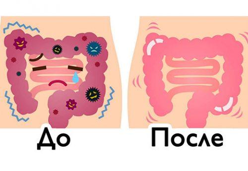 Выход из 7 дневного голодания по малахову. Эффективно ли голодание по методу Малахова?