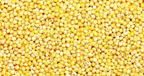 Пшенная каша польза. Чем полезна каша из пшена