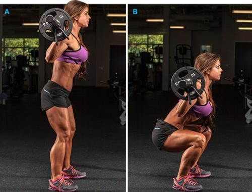 Комплекс упражнений в тренажерном зале для женщин в картинках. Программа тренировок для женщин в тренажерном зале на понедельник