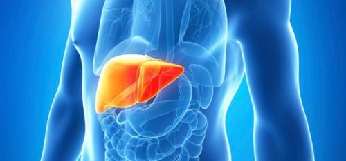 Что такое ожирение печени и как его лечить. Как лечить ожирение печени 01 Что такое ожирение печени и как его лечить. Как лечить ожирение печени 01