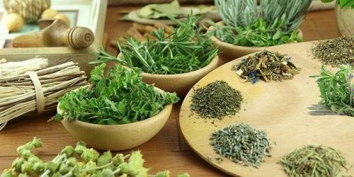 Как вернуть месячные после похудения без гормонов. Как вернуть месячные после диеты