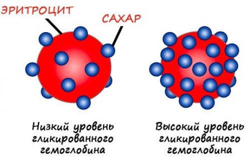 Норма сахара в крови у женщин. Расшифровка показателей крови на сахар