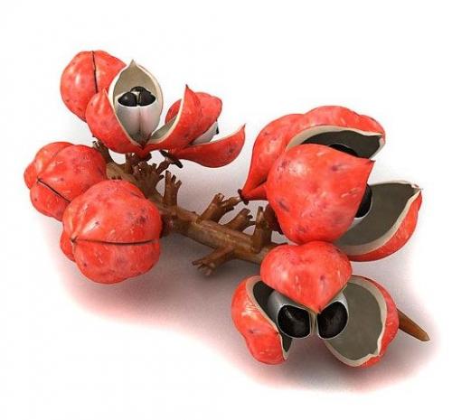 Турбослим экспресс-похудение за 3 дня: реальные отзывы, цена в аптеках, инструкция по применению, состав