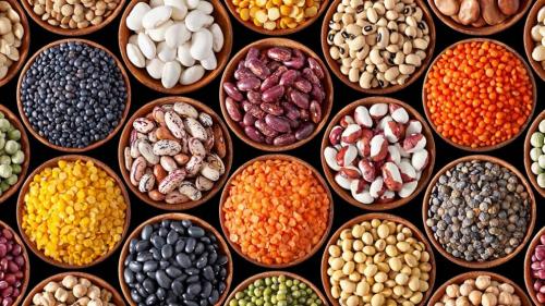 Продукты богатые белком. 10 лучших источников растительного белка для здорового питания