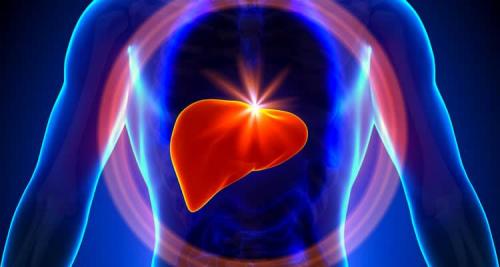 Как очистить печень народными средствами. Чистка печени народными средствами: быстродействующие методы для чистки печени дома