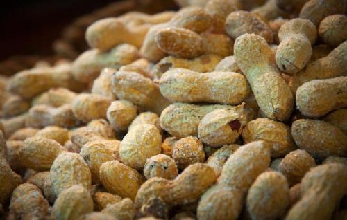 Чем заменяют вегетарианцы мясо. Худшие заменители мяса 02 Чем заменяют вегетарианцы мясо. Худшие заменители мяса 02