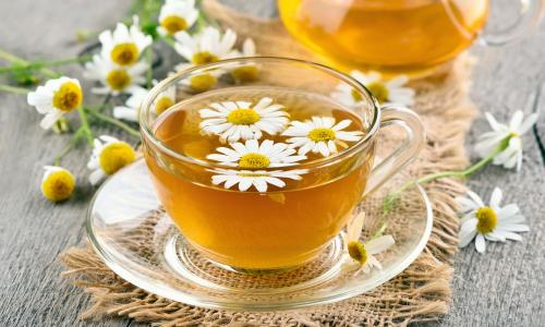 Очищение организма народными средствами. Чистка фито-препаратами