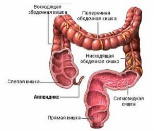Очистить кишечник таблетки. Зачем использовать лекарства для очистки?