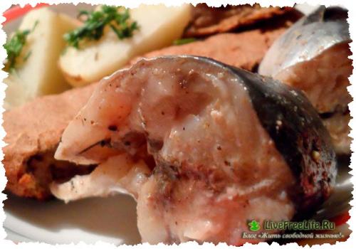 Чем заменяют вегетарианцы мясо. Худшие заменители мяса 06 Чем заменяют вегетарианцы мясо. Худшие заменители мяса 06