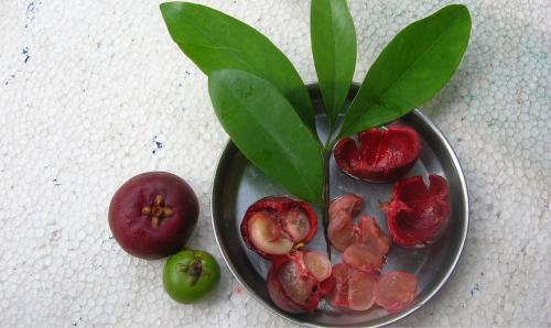 Травяной сбор для похудения. Травы и сборы, эффективно способствующие похудению 04 Травяной сбор для похудения. Травы и сборы, эффективно способствующие похудению 04