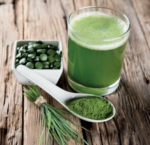 Список белковых продуктов. Самые белковые продукты: в каких продуктах очень много белка?