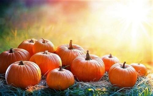 Тыквенная диета irecommend. Тыквенная диета: рецепты тыквенного супа и отзывы похудевших