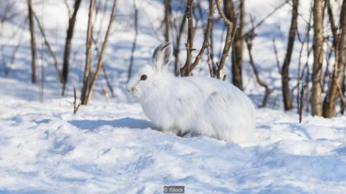 Питание овощами и фруктами. Что такое фруктово-овощная диета для похудения 12 Питание овощами и фруктами. Что такое фруктово-овощная диета для похудения 12