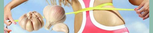 Чесночное масло для похудения. Польза и вред чеснока при похудении