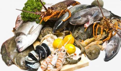 Дешевые белковые продукты. Топ-10 продуктов по содержанию белка