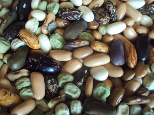 Дешевые белковые продукты. Топ-10 продуктов по содержанию белка